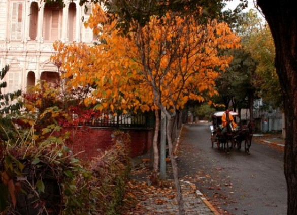 Palmiye Pansiyon Büyükada