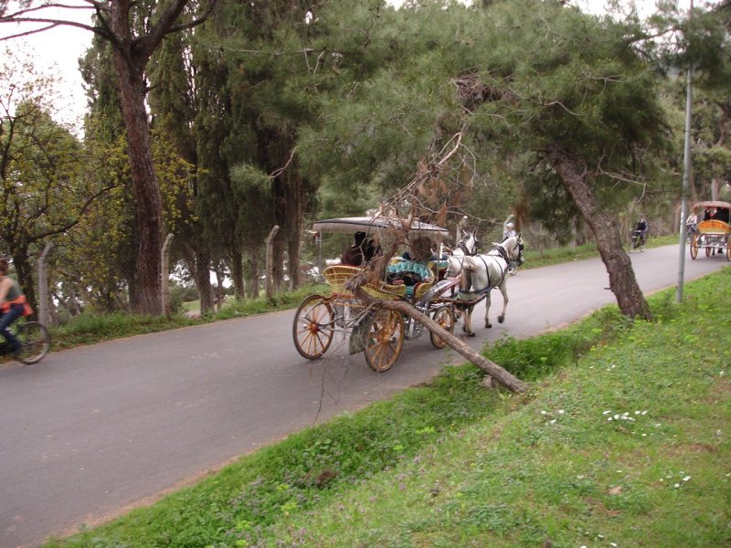 Palmiye Pansiyon Büyükada