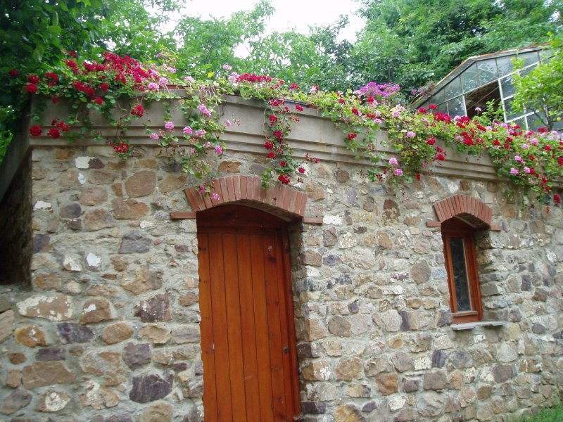 Palmiye Pansiyon Büyükada